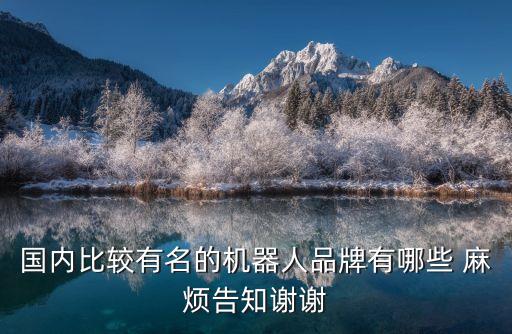 國(guó)內(nèi)比較有名的機(jī)器人品牌有哪些 麻煩告知謝謝