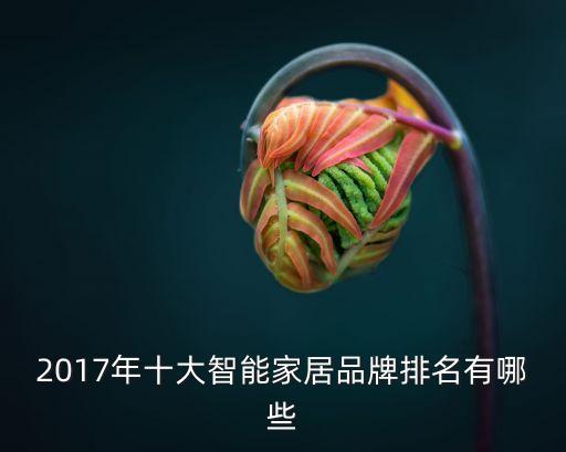 2017年十大智能家居品牌排名有哪些