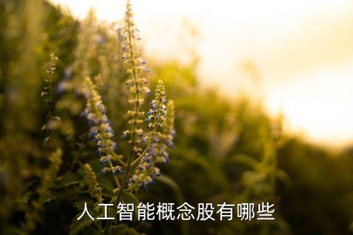 人工智能相關(guān)的股票有哪些公司，人工智能概念都有哪些股票
