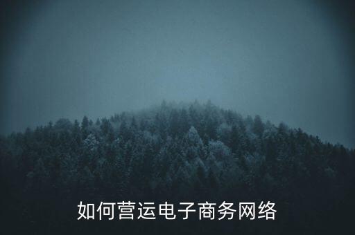 如何營運(yùn)電子商務(wù)網(wǎng)絡(luò)