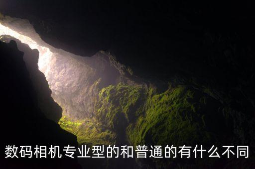 數(shù)碼相機(jī)專(zhuān)業(yè)型的和普通的有什么不同
