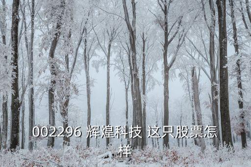 002296 輝煌科技 這只股票怎樣