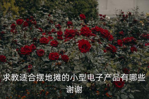 小型簡單電子產品有哪些，求教適合擺地攤的小型電子產品有哪些謝謝