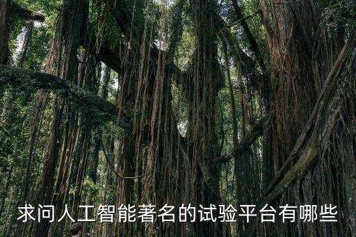 求問人工智能著名的試驗(yàn)平臺(tái)有哪些