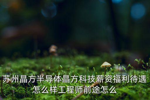 晶方科技的未來價值，蘇州晶方科技待遇怎么樣剛畢業(yè)的有發(fā)展前景嗎
