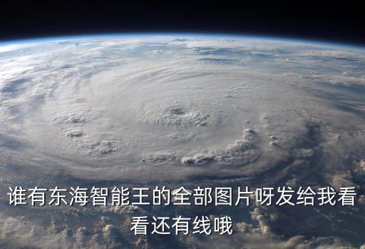 誰(shuí)有東海智能王的全部圖片呀發(fā)給我看看還有線哦