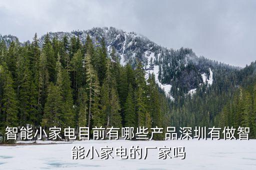 智能小家電目前有哪些產(chǎn)品深圳有做智能小家電的廠家嗎