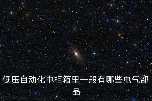 低壓自動化電柜箱里一般有哪些電氣部品