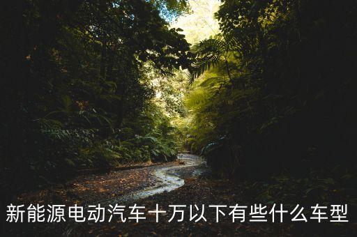 新能源電動(dòng)汽車十萬(wàn)以下有些什么車型