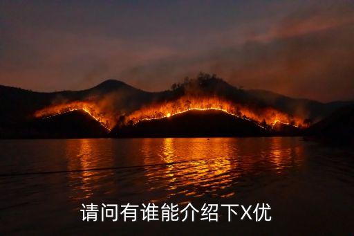 請問有誰能介紹下X優(yōu)