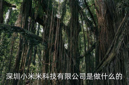 深圳小米米科技有限公司是做什么的