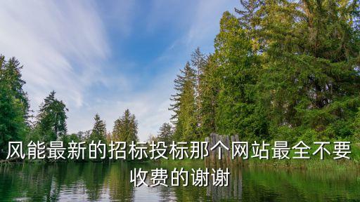 風(fēng)能最新的招標(biāo)投標(biāo)那個(gè)網(wǎng)站最全不要收費(fèi)的謝謝