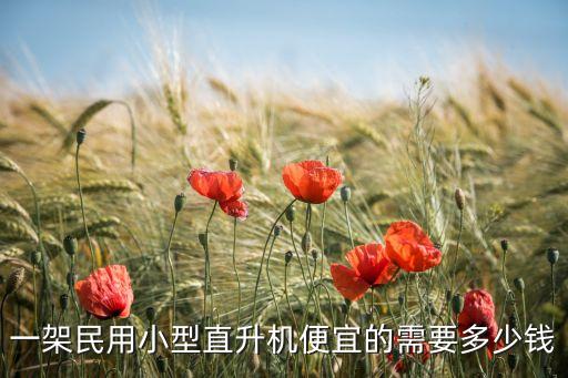 一架民用小型直升機(jī)便宜的需要多少錢