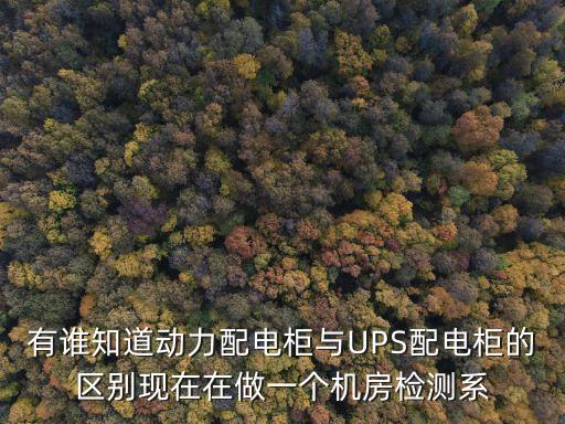 動(dòng)力配電柜，有誰(shuí)知道動(dòng)力配電柜與UPS配電柜的區(qū)別現(xiàn)在在做一個(gè)機(jī)房檢測(cè)系