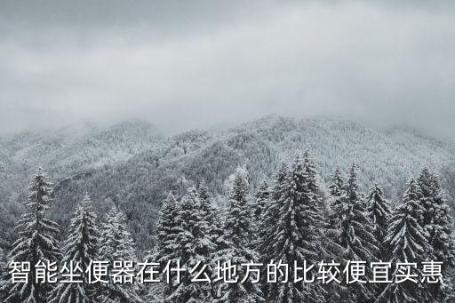 智能坐便器在什么地方的比較便宜實(shí)惠