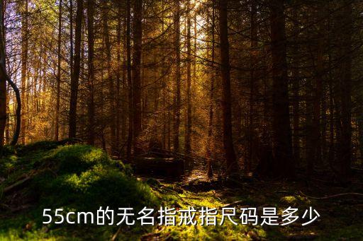 戒指尺寸表55cm，55cm的無名指戒指尺碼是多少