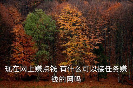 網(wǎng)上接任務(wù)賺錢，現(xiàn)在網(wǎng)上賺點錢 有什么可以接任務(wù)賺錢的網(wǎng)嗎