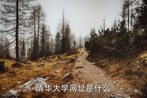 清華大學人工智能研究院官網，清華大學網址是什么