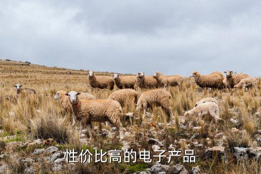 性價比最高的電子產(chǎn)品是什么，性價比高的電子產(chǎn)品