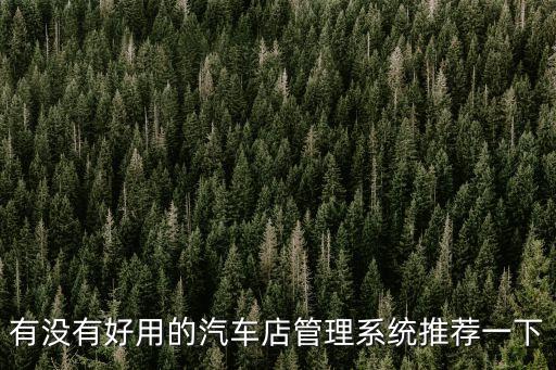 有沒有好用的汽車店管理系統(tǒng)推薦一下