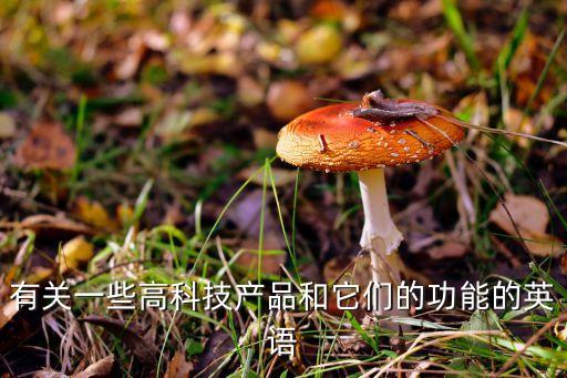 有關(guān)一些高科技產(chǎn)品和它們的功能的英語