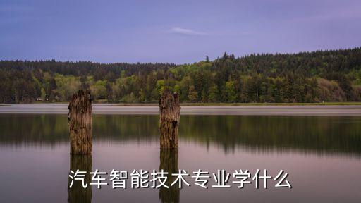 汽車智能技術(shù)專業(yè)學(xué)什么秒懂百科，汽車智能技術(shù)專業(yè)主要學(xué)什么