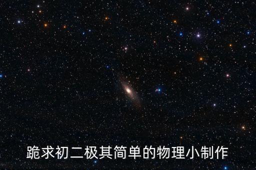 跪求初二極其簡單的物理小制作