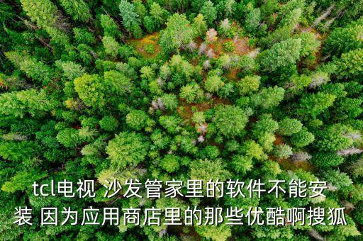 tcl電視 沙發(fā)管家里的軟件不能安裝 因?yàn)閼?yīng)用商店里的那些優(yōu)酷啊搜狐