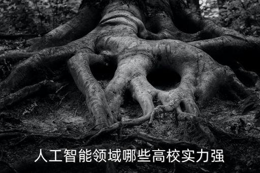 人工智能領域哪些高校實力強