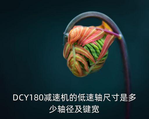 dcy減速機(jī)安裝尺寸，DCY180減速機(jī)的低速軸尺寸是多少軸徑及鍵寬