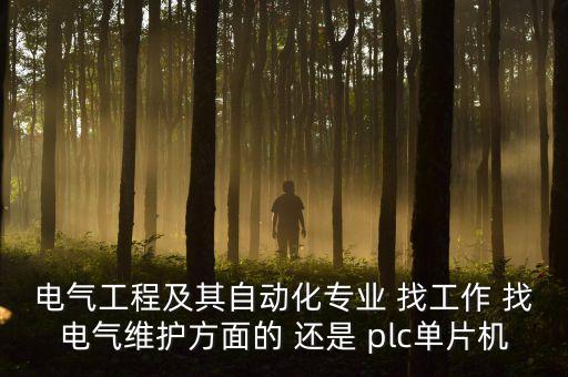 電氣工程及其自動化專業(yè) 找工作 找電氣維護(hù)方面的 還是 plc單片機(jī)