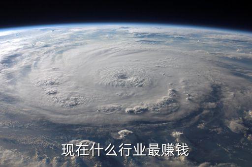 現(xiàn)在什么行業(yè)最賺錢