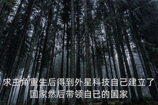 科技帝國 我制霸了全世界小說，求小說要主角創(chuàng)建高科技帝國擊敗外國巨頭公司的小說