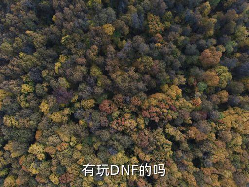 有玩DNF的嗎