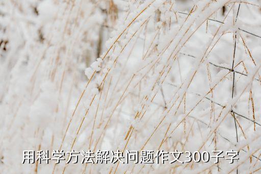 用科學(xué)方法解決問題作文300子字