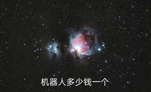 機(jī)器人多少錢一個(gè)