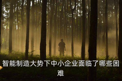 智能制造大勢下中小企業(yè)面臨了哪些困難
