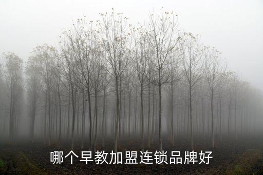 哪個(gè)早教加盟連鎖品牌好