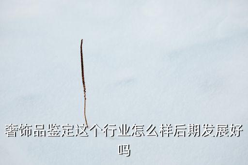 奢飾品nfc防偽可靠嗎，NFC標(biāo)簽可以實現(xiàn)防偽溯源的功能嗎是如何做到的求專業(yè)解答  搜