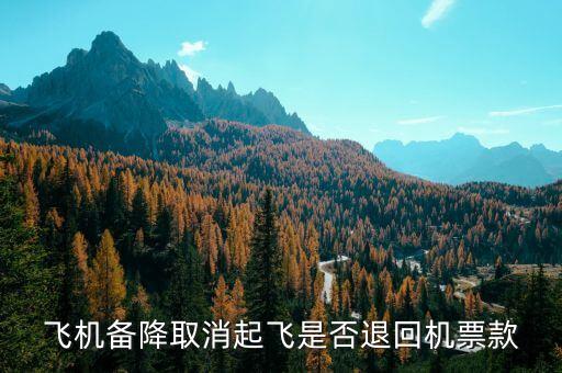 北京瑞航同達科技，飛機備降取消起飛是否退回機票款