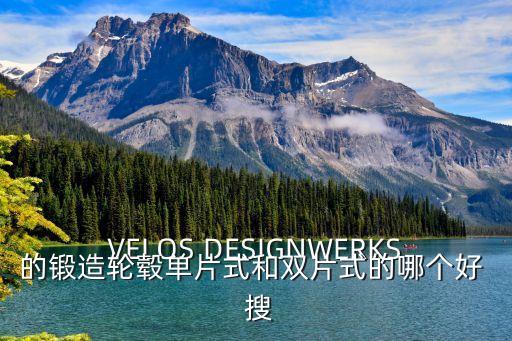 VELOS DESIGNWERKS的鍛造輪轂單片式和雙片式的哪個好  搜