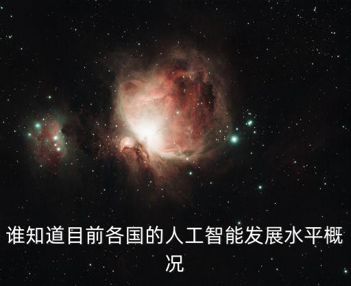 日本人工智能技術(shù)發(fā)展現(xiàn)狀，在人型機器人技術(shù)方面日本是否是最發(fā)達(dá)的比其他任何國家都先