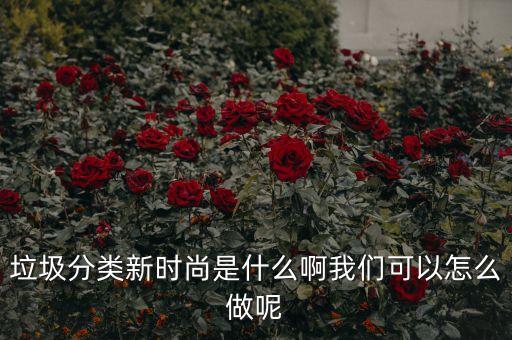 垃圾分類新時尚內(nèi)容，怎樣引領(lǐng)垃圾分類新時尚