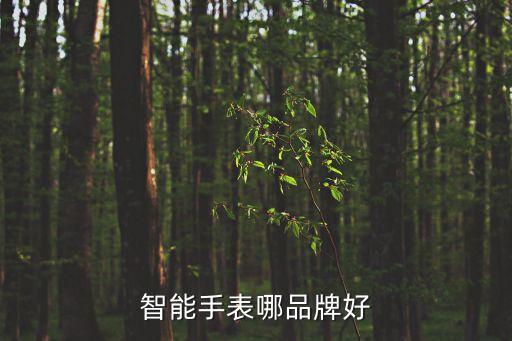 智能手表哪品牌好