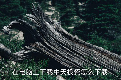 中天金融集團，鑫融中天是怎么樣的一家公司