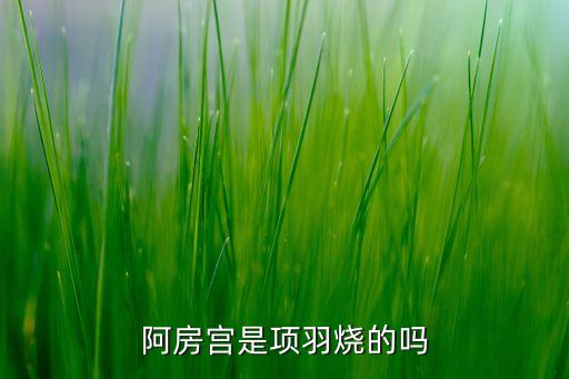 科技賦能手段，如何理解乾道倡導的科技賦能金融呢