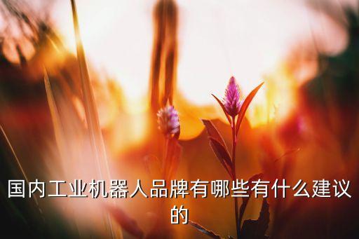 國(guó)產(chǎn)機(jī)器人十大品牌，國(guó)內(nèi)工業(yè)機(jī)器人品牌有哪些有什么建議的