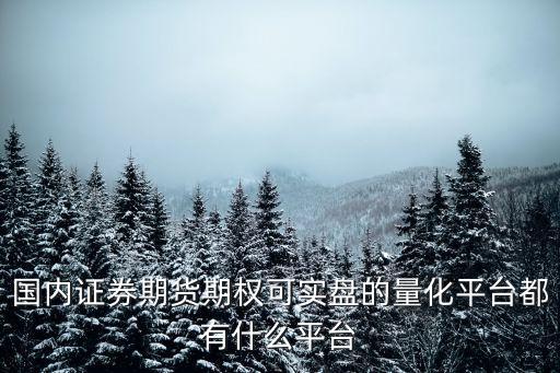 國內(nèi)證券期貨期權(quán)可實盤的量化平臺都有什么平臺