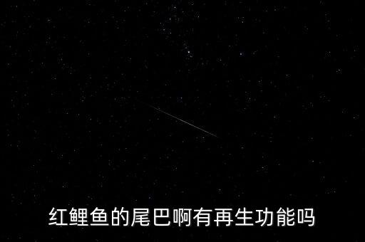 重生智能時代筆趣閣，但是要打開一個小說網(wǎng)站biqugecom 筆趣閣 電腦和手機都連接不上