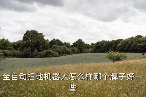 全自動掃地機(jī)器人怎么樣哪個牌子好一些